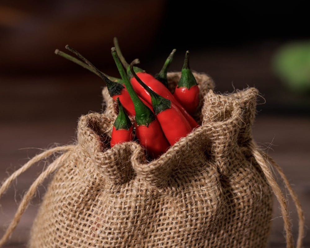 Red Chilli